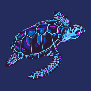 recommend clip art: Sea turtle in vector cartoon illustration