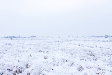 Fresh snow fall in the high fens of Baraque Michel of the Belgium Ardennes covering the landscape under a white layer creating a pure and serene view in  this unique natural park in Europe 