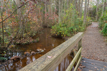 Creek next to a walking path in a park