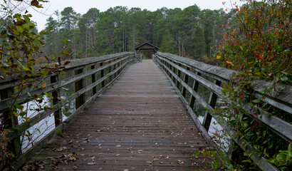 Fototapeta na wymiar Old wooden bridge over a lake