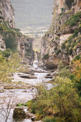 Obraz premium View of a rocky riverbed on a rainy day.