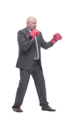 businessman in Boxing gloves. isolated on a white background.