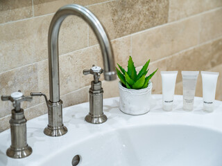Close-up of white sink and faucet. Decorative flower. Cosmetics and hygiene gels. Interior of...