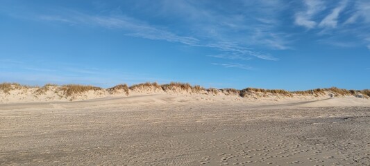 Dünen am jütländischen Strand