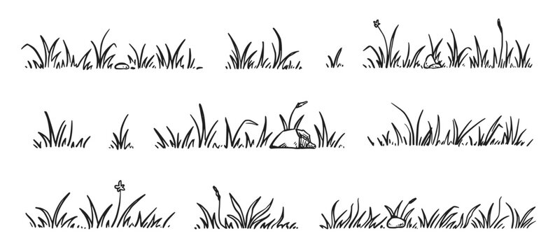 Grass doodle sketch style set. Hand drawn grass field outline scribble background. Sprout, flower, clover elements. Vector illustration.