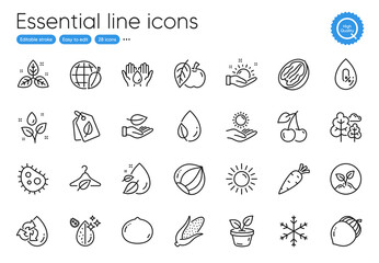 Macadamia nut, Bio tags and Dirty water line icons. Collection of Apple, Leaf dew, Water drop icons. Acorn, Sun, Slow fashion web elements. No alcohol, Tree, Corn. Fair trade. Vector