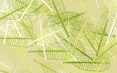 Light Green, Yellow vector abstract backdrop with leaves.