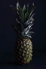 Pineapple fruit  on a black background, dark shoot