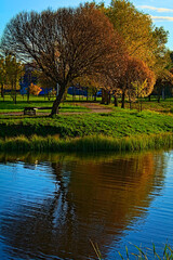Fototapeta na wymiar Reflection in the park lake