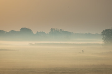 Person mit Hund im Nebel, Jäger am Morgen