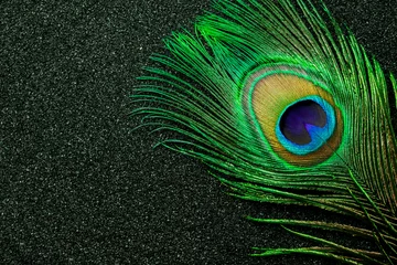 Keuken spatwand met foto Close up photo of a peacock feather, on a black background © Golden Shark