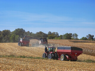 grain cart being loaded from a combine harvester in  northern Illinois while a second tractor and grain cart wait