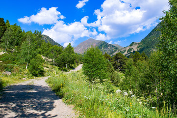 Fototapeta na wymiar Pyrenees mountains, forest and hiking trail.