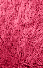 long fluffy fur in neutral light condition as background wallpaper. 