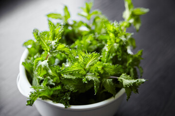 Fresh mint herb leaves in white bowl on wooden kitchen table. Green mint bunch. Cooking food with fresh mint herb ingredient