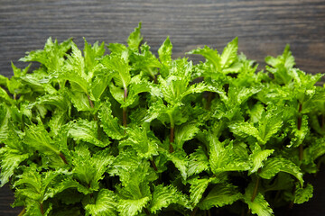 Fresh mint herb leaves on blurred wooden background, top view. Green mint plant