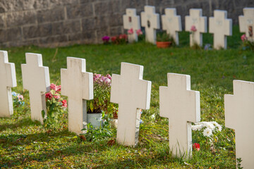 Crosses in abandoned cemetery