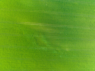 Aerial view of green pasture in rural farmland.