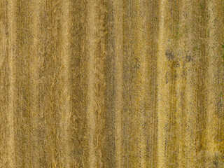 High angle aerial view on agricultural wheat field. Rural farming in Switzerland.