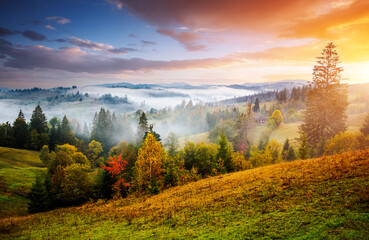 Inspiring morning landscape of the countryside in the mountains with morning fog. - obrazy, fototapety, plakaty