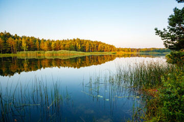 A wonderful view of a quiet lake into the forest on a sunny day. Small Polissya, Ukraine.