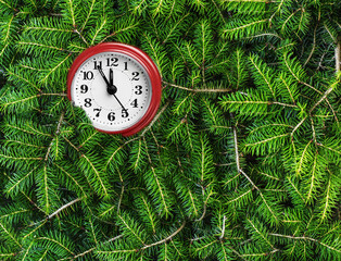 Background from fir branches of a Christmas tree for a New Year's card and an alarm clock