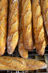 Stack of crispy baguettes at the bakery