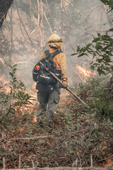 Naklejka premium Firefighter Fighting Wildfire in Forest in California