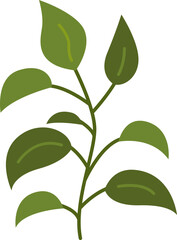 Dumb cane plant flat icon Green houseplant Home gardening