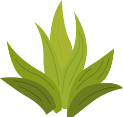 Green aloe vera houseplant flat icon Home gardening