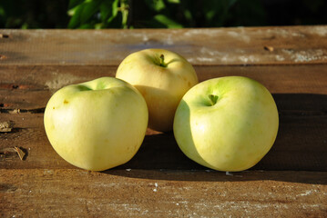 apples on a wooden table