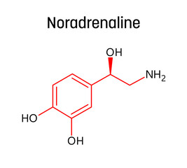 Noradrenaline molecular structure. Noradrenaline, or Norepinephrine, is neurotransmitter and hormone in human body. Vector structural formula of chemical compound with red bonds and black atom labels.