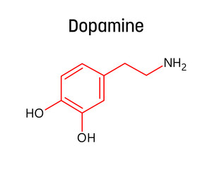 Fototapeta premium Dopamine molecular structure. Dopamine is neurotransmitter with important role in human body. Vector structural formula of chemical compound with red bonds and black atom labels.