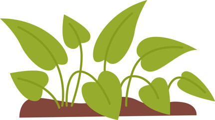 Cartoon green plant flat icon Houseplant