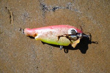 Old fish lure in sand on the beach. 