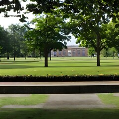 Obraz premium 芝生のある公園とその奥に建物