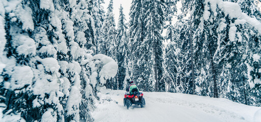 Rider driving in the quad bike race in winter in beautiful snowy road with fir trees in frozen mountains forest. Winter holiday © Jukov studio