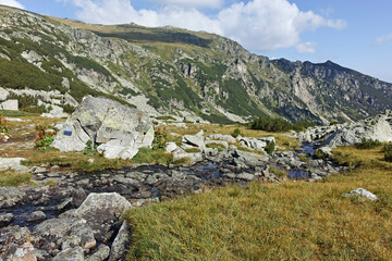 Fototapeta na wymiar Summer landscape of Rila Mountain near Orlovets peak, Bulgaria