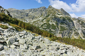 Summer landscape of Rila Mountain near Orlovets peak, Bulgaria