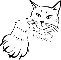 Vector illustration. The cat waves its paw. Cat claws.