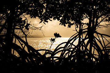 Portland Road Silhouette