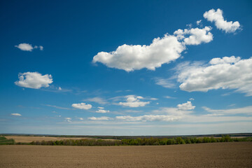Fototapeta na wymiar beautiful landscape of blue sky with clouds and field in Ukraine