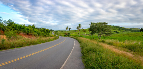 road with green field