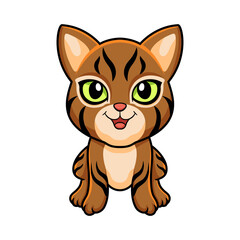 Cute pixie bob cat cartoon