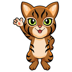 Cute pixie bob cat cartoon waving hand