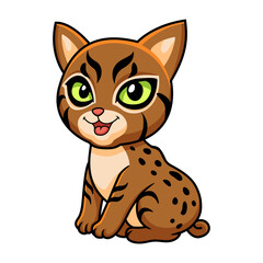 Cute pixie bob cat cartoon