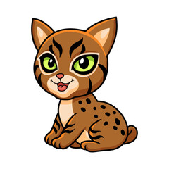 Cute pixie bob cat cartoon