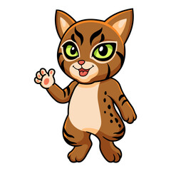 Cute pixie bob cat cartoon waving hand