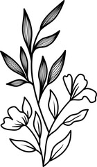Flower Line Art