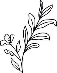 Flower Line Art